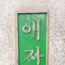 애자교 이미지