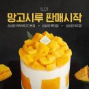 또이 6개월 기념으로 올리는 화•수•목 일상 🌈🦄