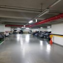 미스터피자 울산남구 이미지