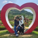 평림댐 화장실 | 장미 향 가득~🌹장성 평림댐 장미공원-광주에서 하루 또는 반나절 코스 추천!(취사/ 축구/농구도 가능)