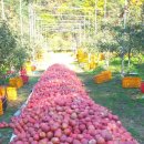 시냇물 2 농장 이미지