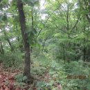 김선배농장 이미지