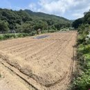 김내용농장 이미지