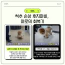 야로동물병원 이미지