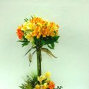 풀잎궁전 이미지