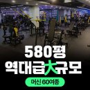 청담엑티브짐 이미지