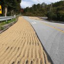 신평생활사박물관 이미지