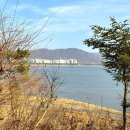 미호안 | 미호 박물관 | 아이와 갈만한 남양주 공룡 박물관, 미술 전시 후기