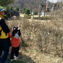 서호유치원 이미지