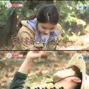 풀파워 이미지