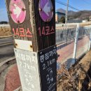 서정적 풍경 이미지