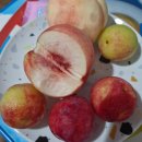 복싱스튜디오 운정점 네이버블로그