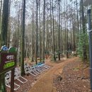 서귀포자연휴양림야영장 이미지