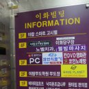 민스파라다이스