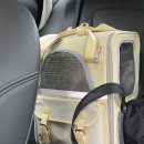 정훈동물병원 | 부산 고양이 동물병원 결막염 치료 후기