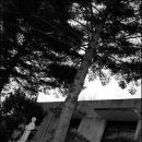 미원초등학교 장락분교 이미지