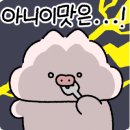 시온정육식당 이미지