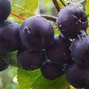 전북도시가스(주) 이미지
