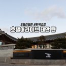 태안바다 | 호텔어라이브 태안 탼 바다룸 후기 애견 동반 숙소