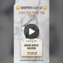 아이캣유 이미지