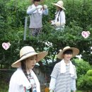 조이토마토 이미지