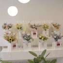 주정차046 이미지