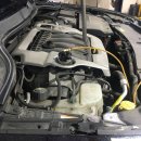 애니카랜드 석남점 이미지