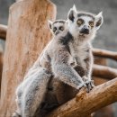 청주교육대학교 이미지