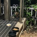 신기한 과학 탐구생활 | 가을퐁당10월