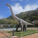 통일냉면 | 새로운통일냉면 _ 고성 공룡엑스포 주변 냉면맛집 후기