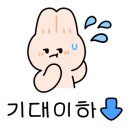 이지덴탈 이미지