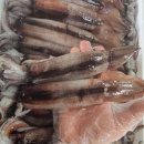 7월20일.신안 송도민어,병어,먹갈치,통치민어,생물오징어 이미지