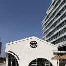 번패티번강릉 | [강릉] 번패티번 솔직후기 더현대에도 입점한 수제버거 맛집