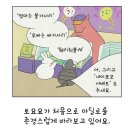 토요요 이미지