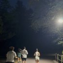 남부순환로(북측) 이미지