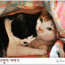 이불이야기 이미지