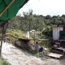 새밤농장 이미지