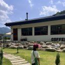 청길강변로 | [무주] 버드나무 숲속 ‘윌로우파크커피’