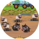 금화 2농장 이미지