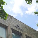 헐노래연습장 이미지