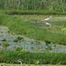 두루미 농원 이미지