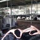 이천목장 이미지