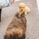 리아트파크청평원 이미지