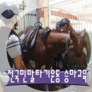에이원승마클럽 네이버블로그