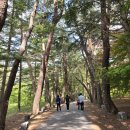 속리산보건지소 이미지