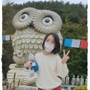 A1047 Daum카페