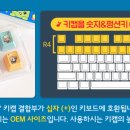 즐겨바바