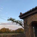 비자림힐링펜션 이미지