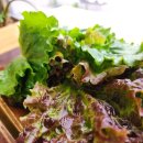 상호농장 | "아침마다 농장에서 직송"...김포 장기동 맛집 농가밥상 자연테이블(김포 농가 직송 쌈밥 맛집)