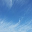 (주)권태원큐스터디 | 미적분학, 후배를 향한 독설! 미적분학도 모르고 무슨 대학수학공부를...